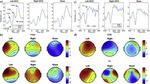 tDCS to the left DLPFC modulates cognitive and physiological correlates of executive function in a state-dependent manner